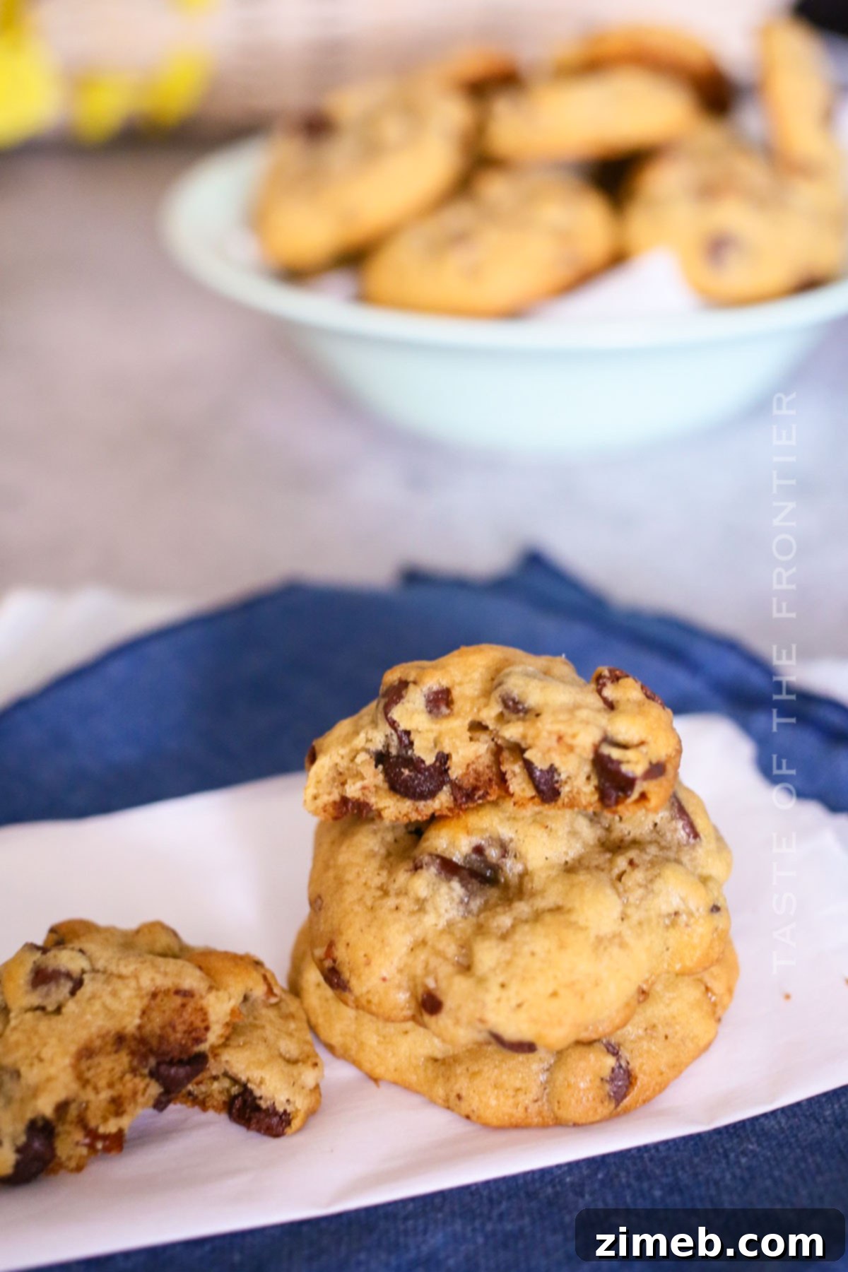 Gourmet Chocolate Chip Pecan Cookies 6 chocolate and nut cookies