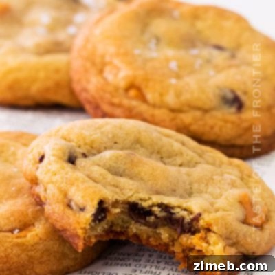 Gourmet Chocolate Chip Pecan Cookies 10 Butterscotch Chocolate Chip Cookie Recipe