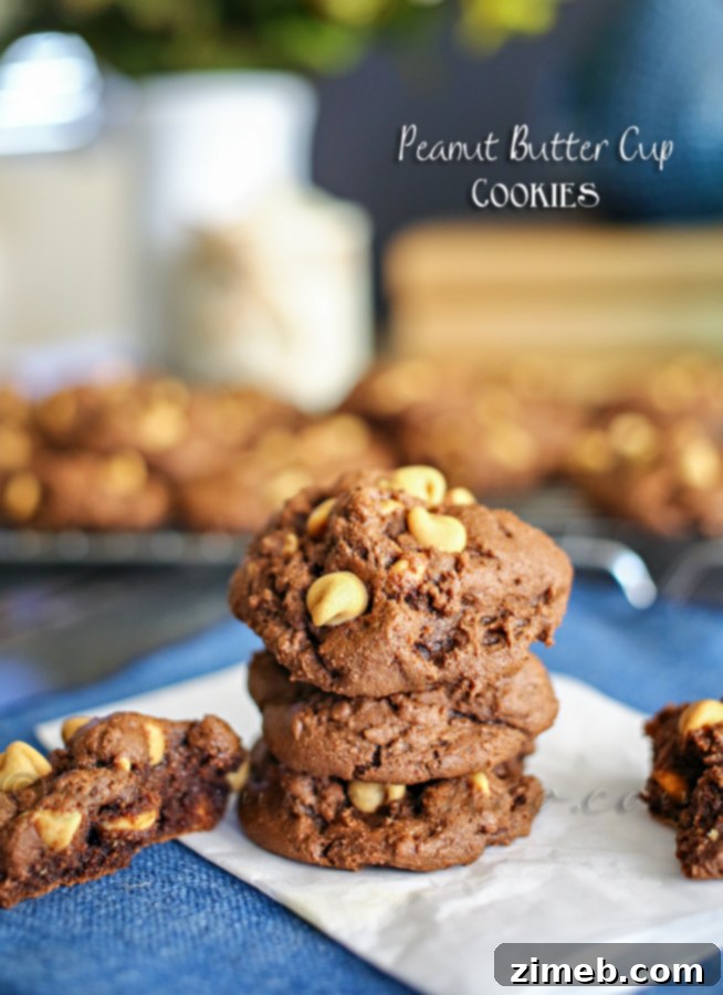 Chocolate Peanut Butter Bliss Cookies 3 Close-up of freshly baked Peanut Butter Cup Cookies