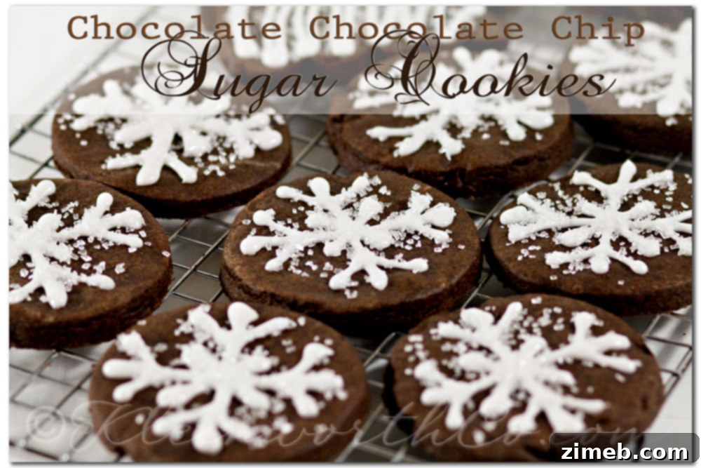 Chocolate Peanut Butter Bliss Cookies 7 Rich Chocolate Chocolate Chip Sugar Cookies, a double chocolate delight