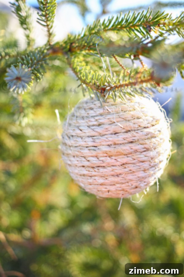 Wildcrafted Wonders 7 The first completed DIY natural Christmas ornament, showcasing its rustic texture and handcrafted charm