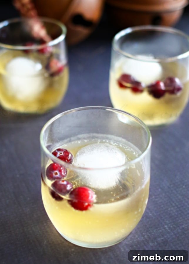 Champagne Punch for a sophisticated gathering