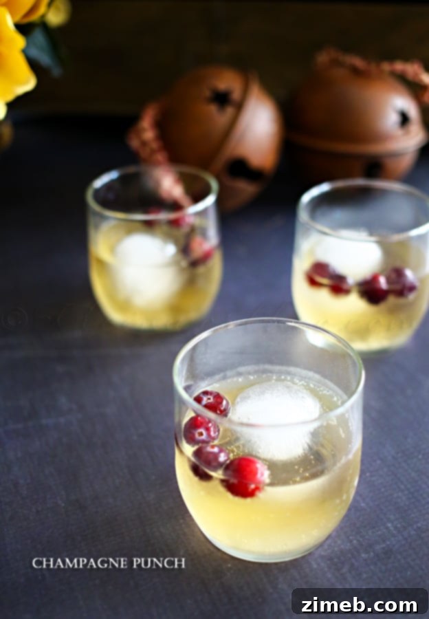 Champagne Punch with cranberries and ice