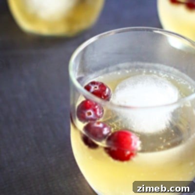 Gala Sparkle Punch 5 Champagne Punch recipe image
