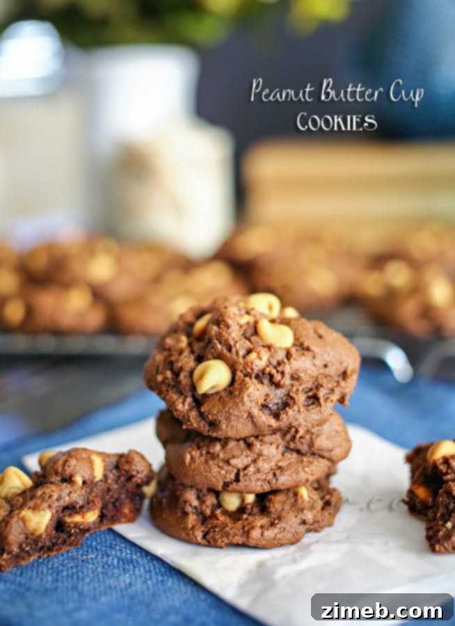 Reese's Coco Clusters 7 Homemade Peanut Butter Cup Cookies, rich and delicious.
