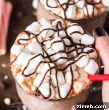 Recipe for Peppermint Hot Chocolate in the Instant Pot
