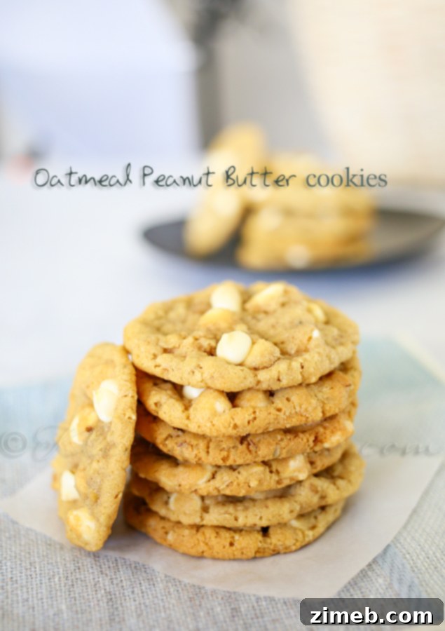 Cozy Eggnog Oatmeal Cookies 8 A stack of golden brown Oatmeal Peanut Butter Cookies on a plate with scattered peanuts