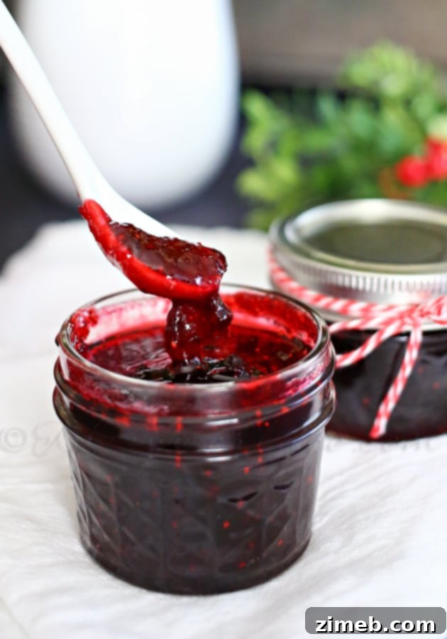 Cranberry Cheer Butter 2 Delicious Homemade Cranberry Butter for the Holidays
