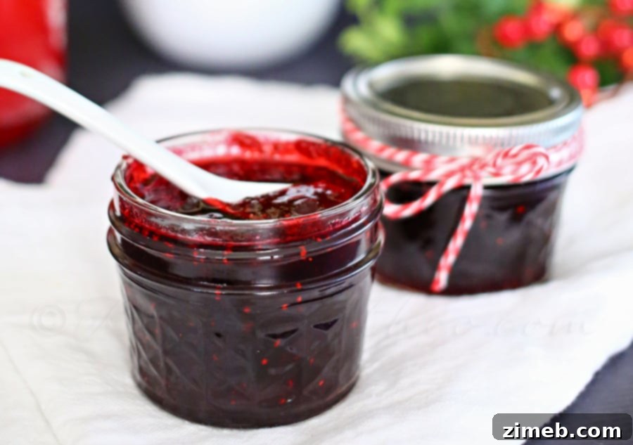 Cranberry Cheer Butter 3 Cranberry Butter on Toast