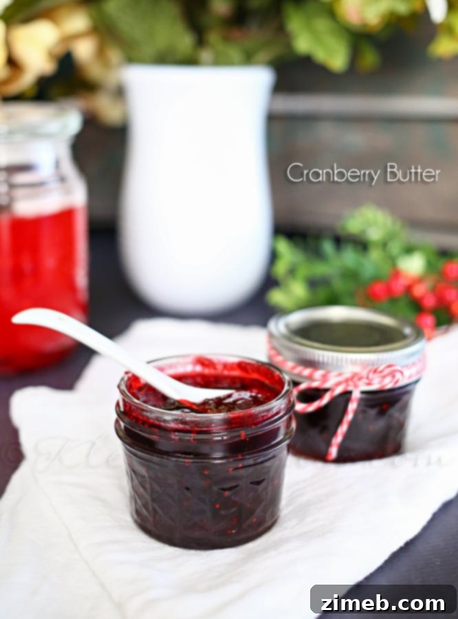 Cranberry Cheer Butter 4 Jar of Homemade Cranberry Butter
