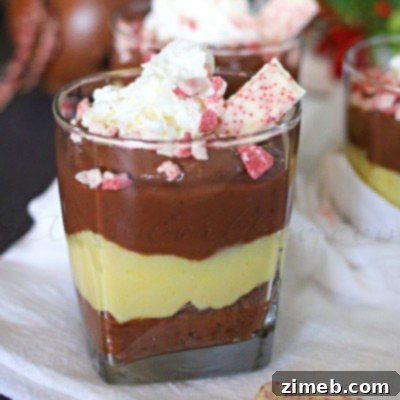 Refreshing Peppermint Pudding Cups 5 Peppermint Pudding Cups