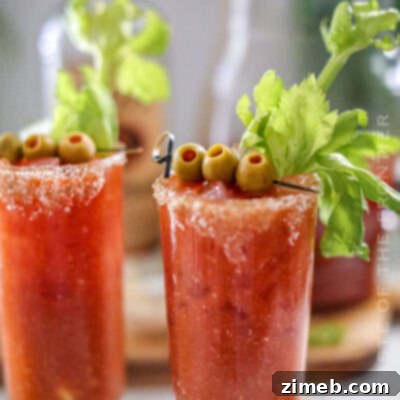 Crimson Reflection 15 Bloody Mary Cocktail