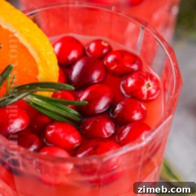 Crimson Reflection 10 Christmas Punch