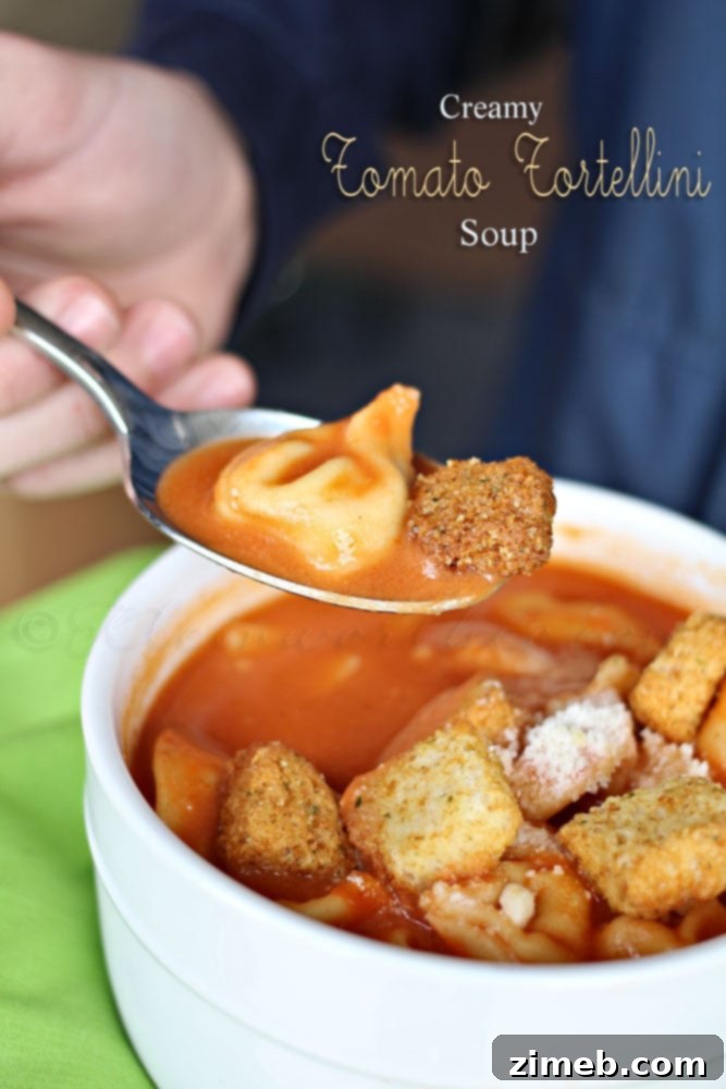 Creamy Tomato Tortellini Soup Bowl of Creamy Tomato Tortellini Soup with fresh basil