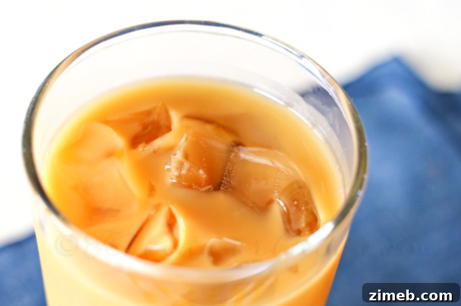 Skinny Iced Mocha Skinny Iced Mocha
