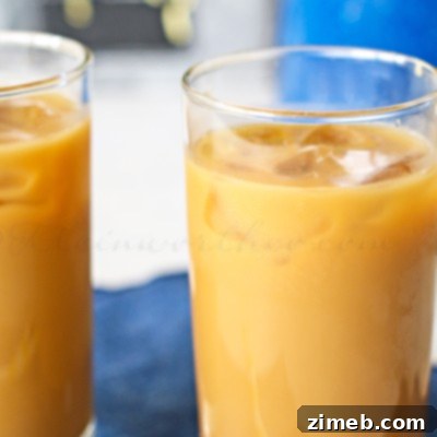 Skinny Iced Mocha