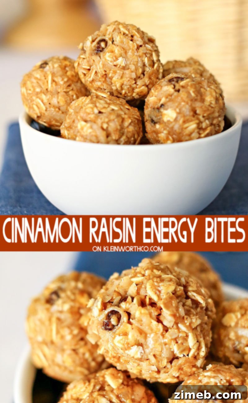 Cinnamon Raisin Power Poppers 2 Cinnamon Raisin Energy Bites, a healthy no-bake snack recipe with oats, peanut butter, and honey