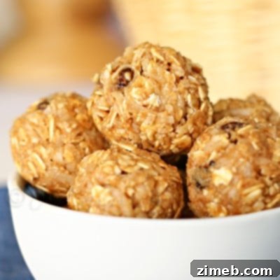 Cinnamon Raisin Power Poppers 9 Cinnamon Raisin Energy Bites recipe card image