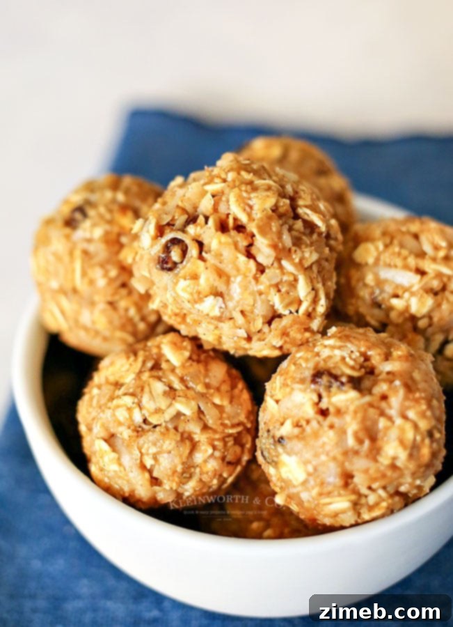 Cinnamon Raisin Power Poppers 3 Recipe for oatmeal energy bites with cinnamon and raisins