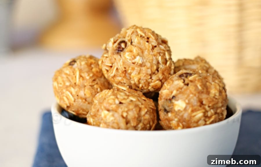 Cinnamon Raisin Energy Bites Cinnamon Raisin Energy Bites ready to eat