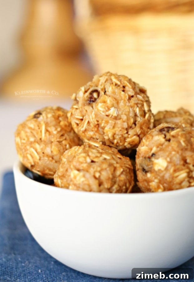 Cinnamon Raisin Power Poppers 5 Energy bites recipe for a quick and healthy snack