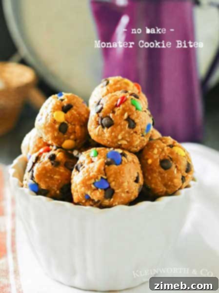 Cinnamon Raisin Power Poppers 7 Monster Cookie Bites are an easy no-bake dessert that any M&M lover will ask for time & time again. Oats, peanut butter & honey make these a great snack!