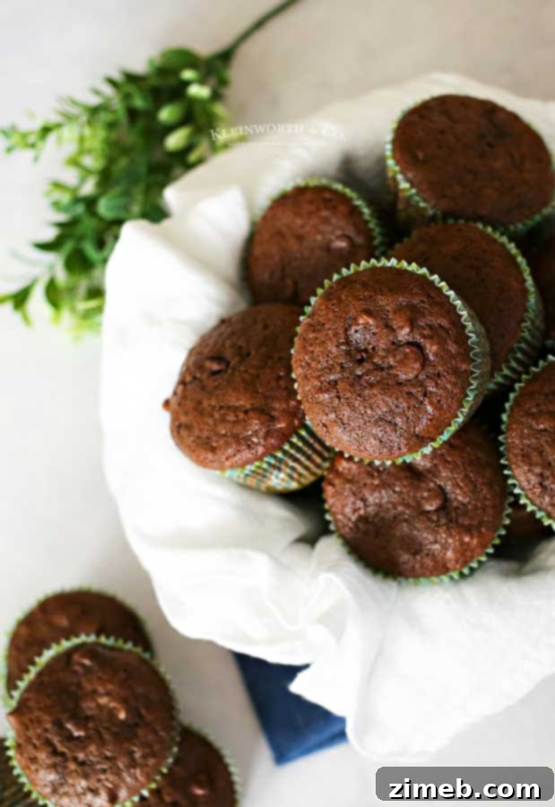 breakfast recipe -Chocolate Zucchini Muffins