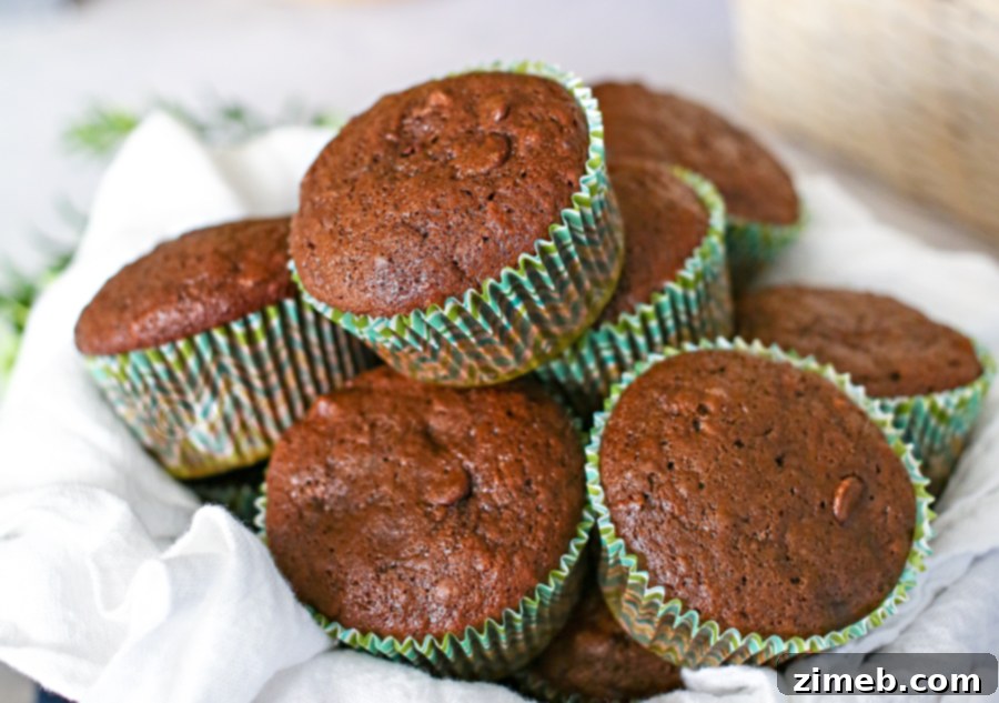 Chocolate Zucchini Muffins
