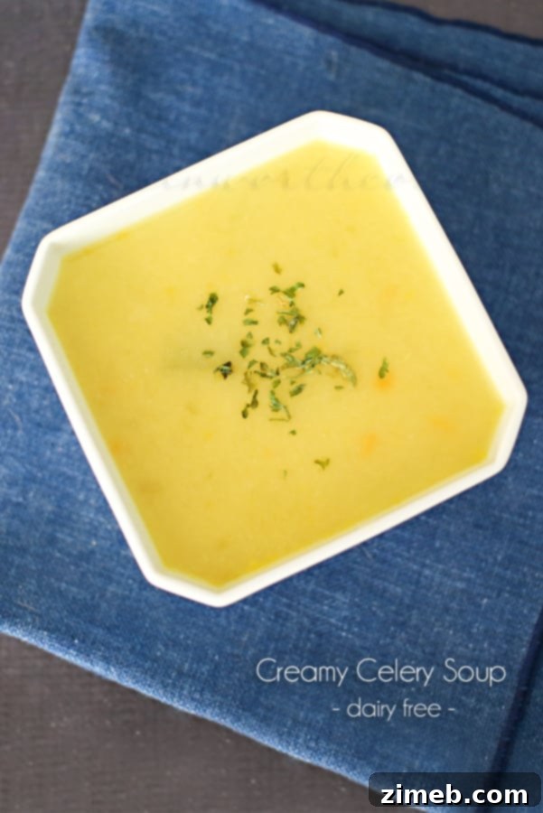 Creamy Dairy-Free Celery Soup Simple Weeknight Dinner 4 Creamy Celery Soup