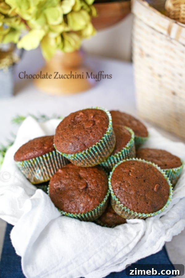 Chocolate Zucchini Muffins Chocolate Zucchini Muffins