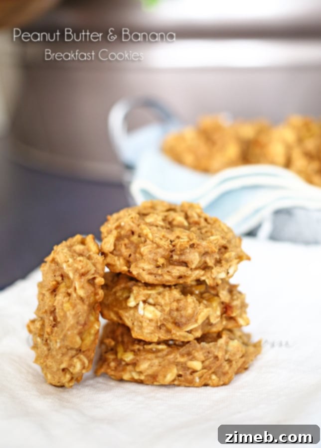Peanut Butter & Banana Breakfast Cookies A close-up shot of two freshly baked Peanut Butter & Banana Breakfast Cookies, highlighting their soft texture and wholesome appeal.