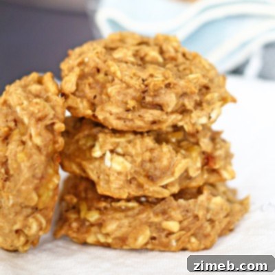 Energizing Peanut Butter Banana Morning Cookies 2 Peanut Butter & Banana Breakfast Cookies