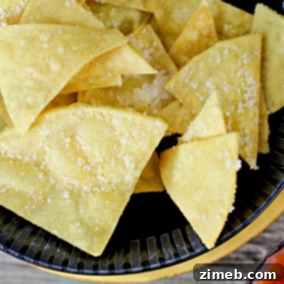 Parmesan Tortilla Chips