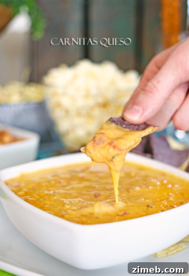 Delicious Carnitas Queso, perfect for dipping various snacks and sides.