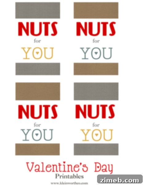 Valentine Nuts for You Printables, Valentine Gifts for Him, Valentine Ideas
