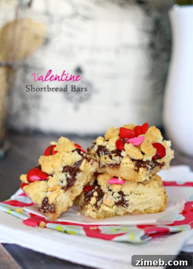 Love-Struck Chocolate Sugar Cookies 8 Valentine Shortbread Bars - buttery and sweet holiday dessert