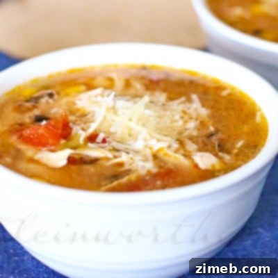 Crock Pot Chicken Enchilada Soup ready to serve.