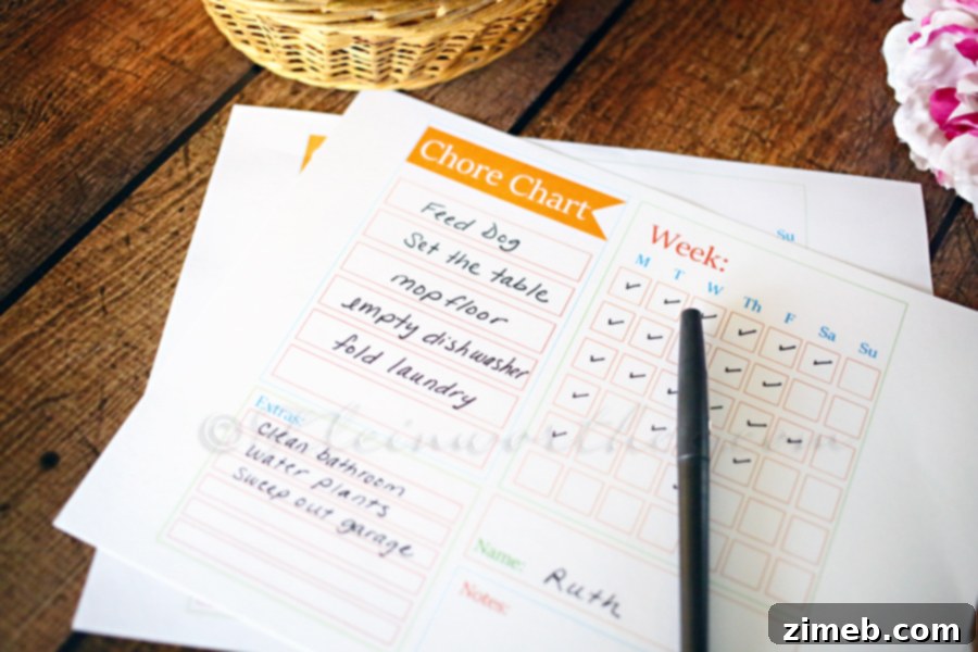 Chore Master Planner 3 Chore Chart Checklist Template