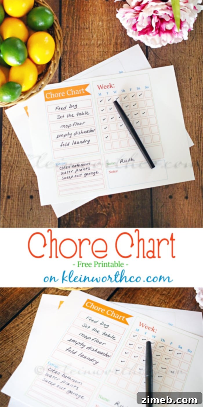 Chore Master Planner 4 Chore Chart Checklist Template
