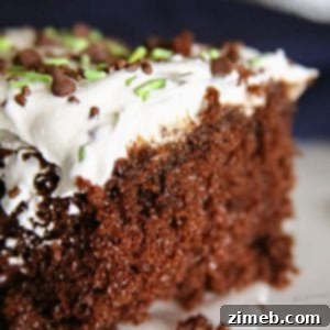 Emerald Isle Mint Chocolate Chip Cookies 7 A slice of chocolate mint poke cake on a plate. The rich, moist chocolate cake is topped with frosting and sprinkled with chocolate chips. The poke holes are filled with creamy chocolate pudding, adding extra decadence to the dessert.