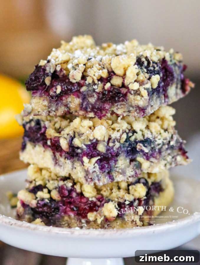 Blueberry Oatmeal Crumble Bars