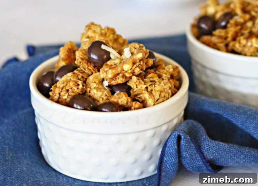Delicious Dark Chocolate Pomegranate Granola in a bowl, ready to be served