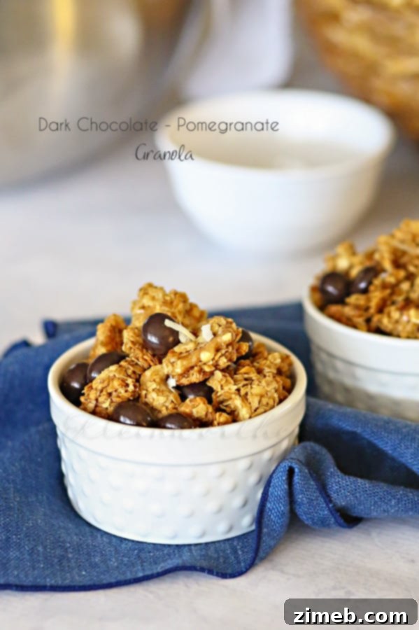 Dark Chocolate Pomegranate Granola served with yogurt, berries, and a spoon
