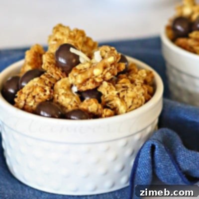 Close-up of Dark Chocolate Pomegranate Granola ingredients and texture