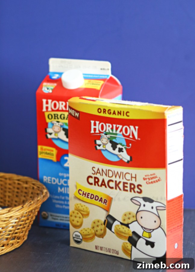 Quick and Easy Snacks for Happier Mealtimes 2 Easy Kids Snacks - Vibrant Lunchbox with Organic Treats
