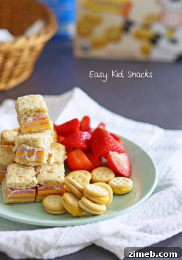 Quick and Easy Snacks for Happier Mealtimes 5 Healthy Kids Lunch with Horizon Organic Cheddar Crackers