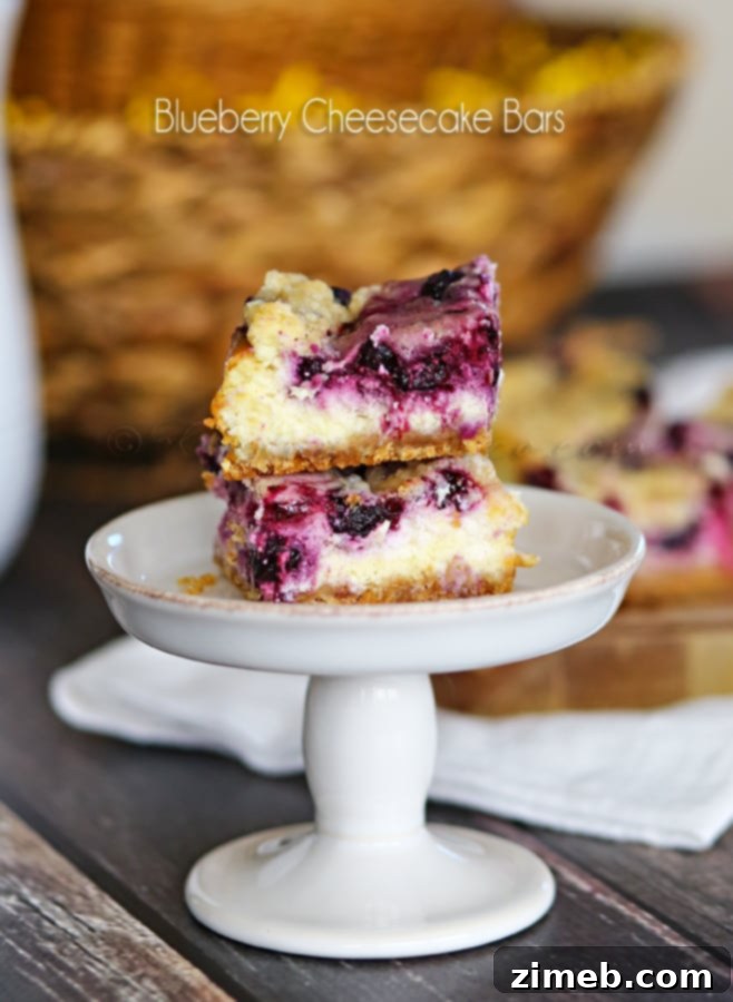 Blueberry Cheesecake Bars