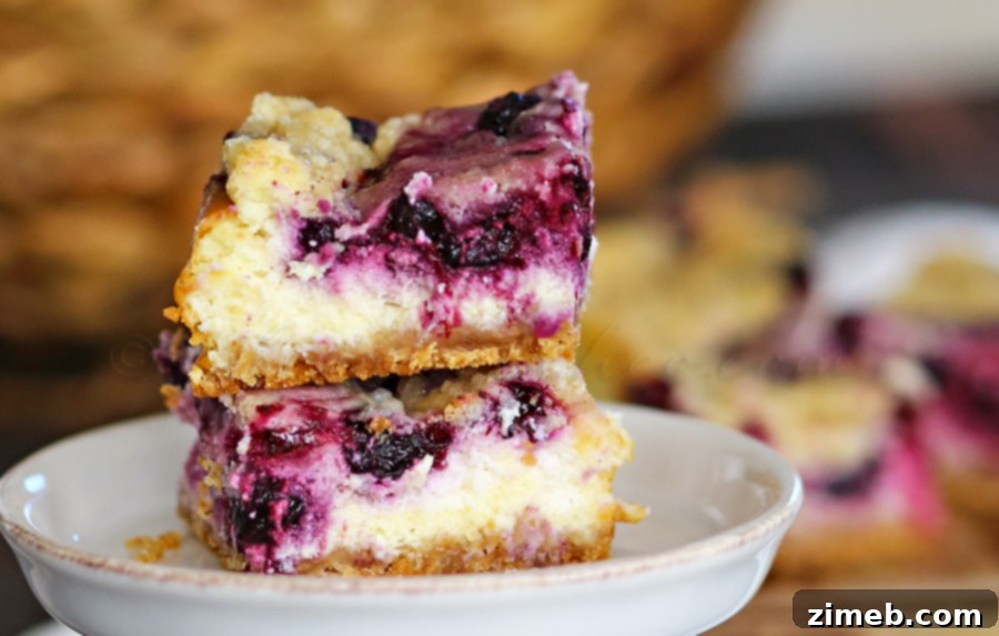 Blueberry Cheesecake Bars