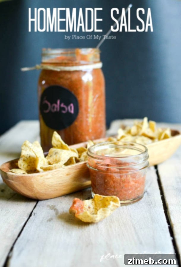 Salsa Recipe by Place Of My Taste - Fresh and homemade salsa for any occasion.