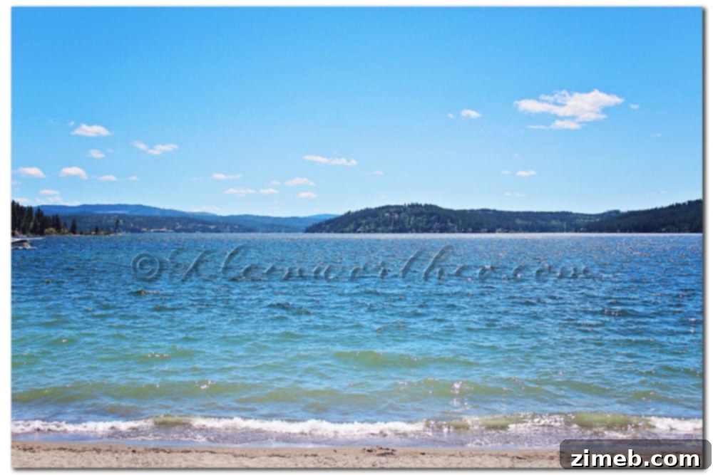 Scenic lake view on a sunny day during a family nature walk